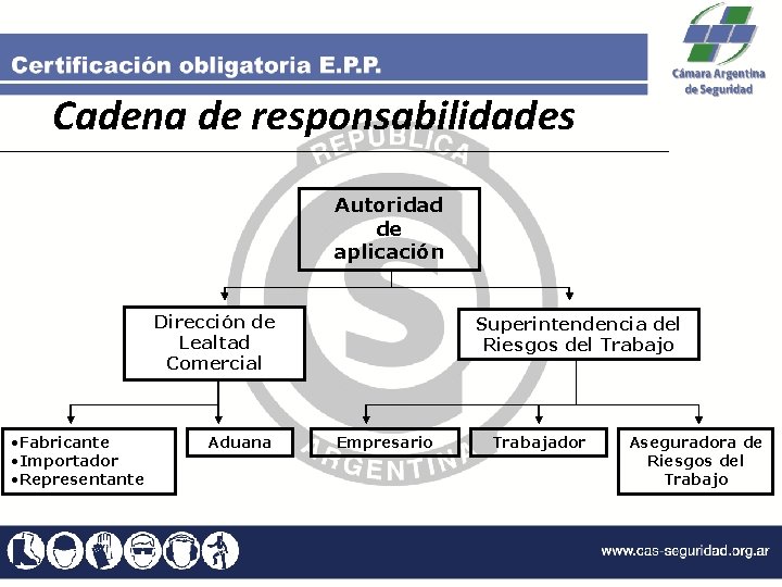 Cadena de responsabilidades Autoridad de aplicación Dirección de Lealtad Comercial • Fabricante • Importador