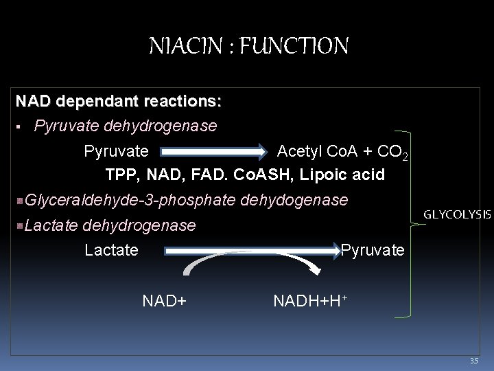 NIACIN : FUNCTION NAD dependant reactions: Pyruvate dehydrogenase Pyruvate Acetyl Co. A + CO