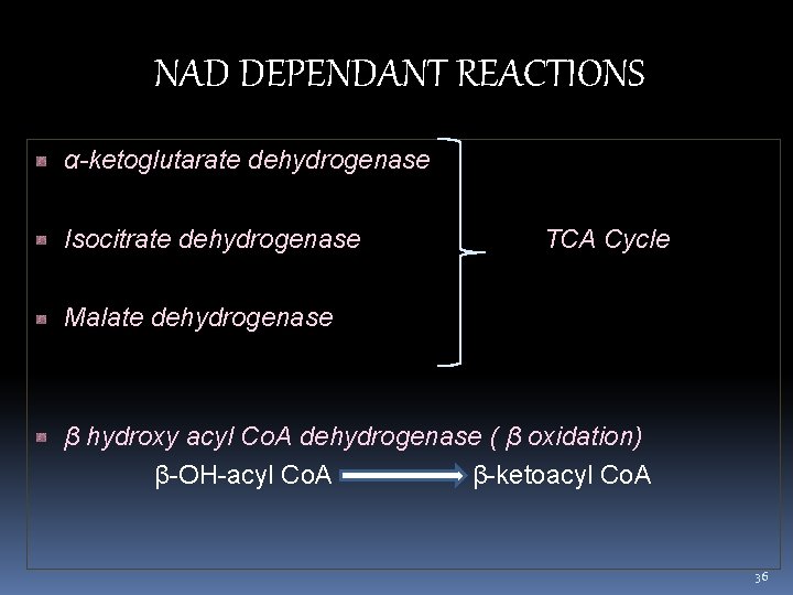 NAD DEPENDANT REACTIONS α-ketoglutarate dehydrogenase Isocitrate dehydrogenase TCA Cycle Malate dehydrogenase β hydroxy acyl