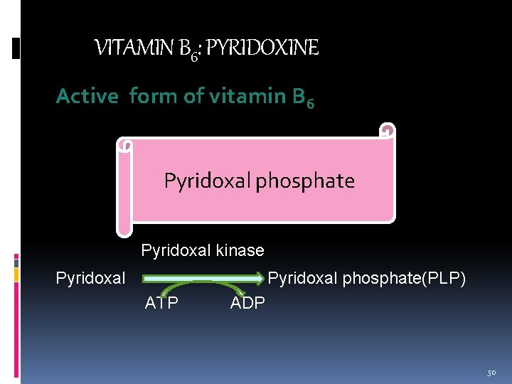 VITAMIN B 6: PYRIDOXINE Active form of vitamin B 6 Pyridoxal phosphate Pyridoxal kinase