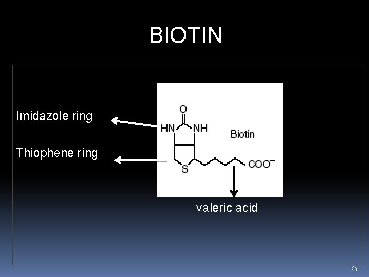 BIOTIN Imidazole ring Thiophene ring valeric acid 63 
