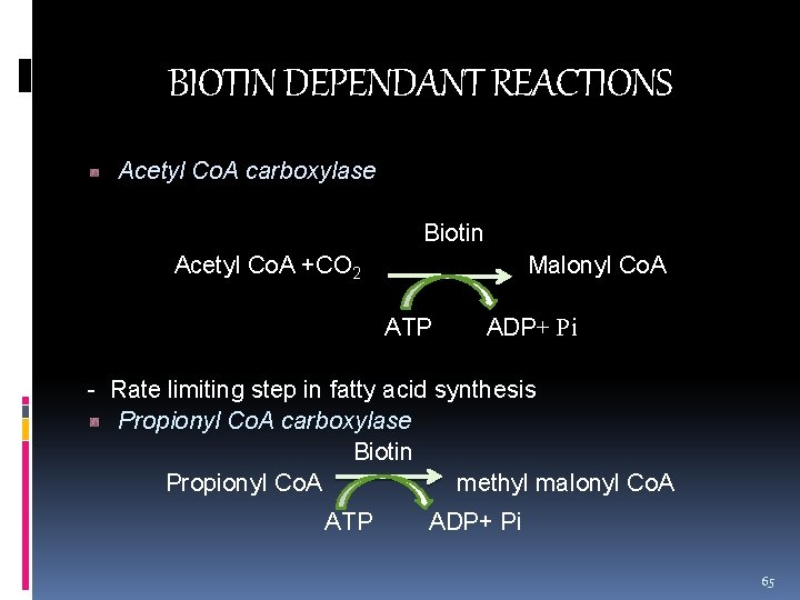 BIOTIN DEPENDANT REACTIONS Acetyl Co. A carboxylase Biotin Acetyl Co. A +CO 2 Malonyl