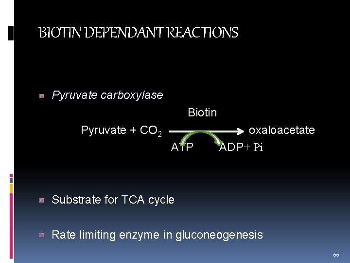 BIOTIN DEPENDANT REACTIONS Pyruvate carboxylase Biotin Pyruvate + CO 2 oxaloacetate ATP ADP+ Pi