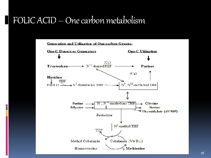 FOLIC ACID – One carbon metabolism 78 