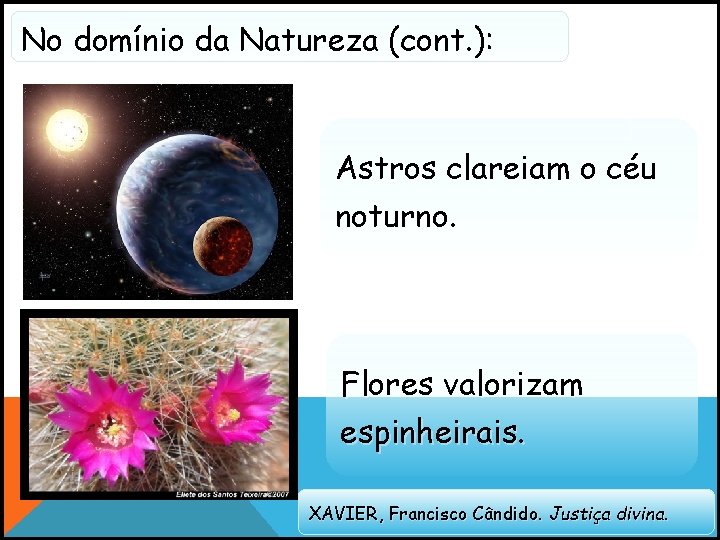 No domínio da Natureza (cont. ): Astros clareiam o céu noturno. Flores valorizam espinheirais.