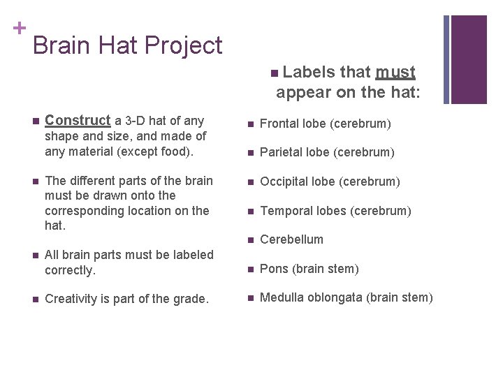 + Brain Hat Project n Labels that must appear on the hat: n Construct + Brain Hat Project n Labels that must appear on the hat: n Construct