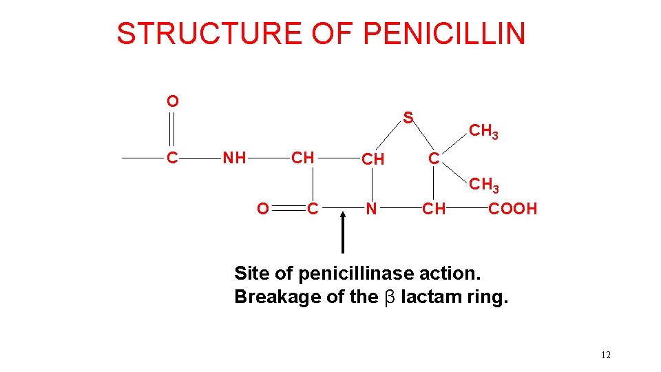 STRUCTURE OF PENICILLIN O C S NH CH O C CH N CH 3