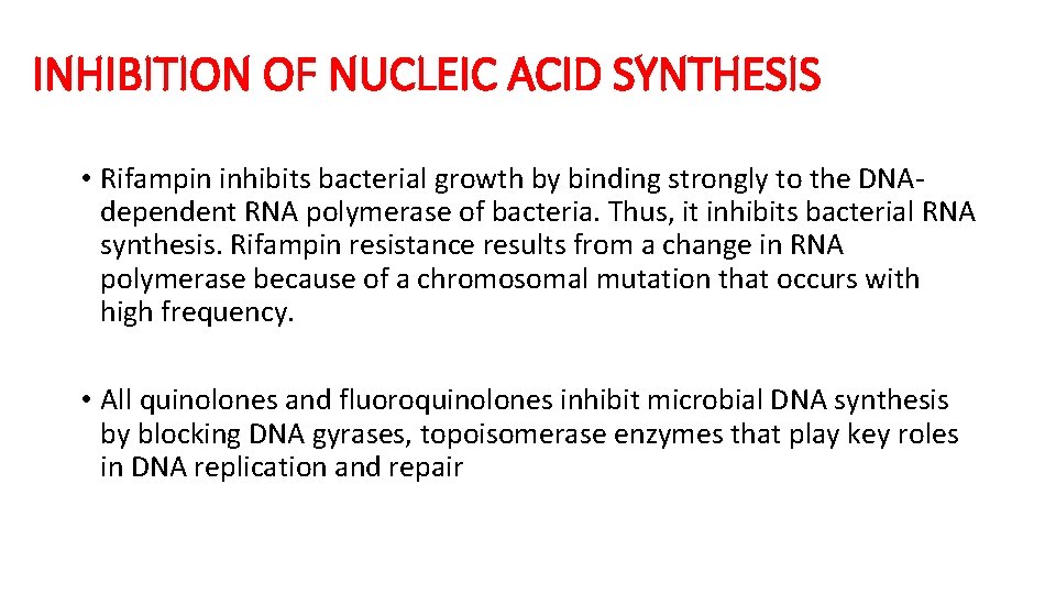 INHIBITION OF NUCLEIC ACID SYNTHESIS • Rifampin inhibits bacterial growth by binding strongly to