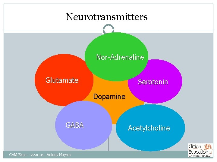Neurotransmitters Nor-Adrenaline Glutamate Serotonin Dopamine GABA CAM Expo – 22. 10. 11 - Antony