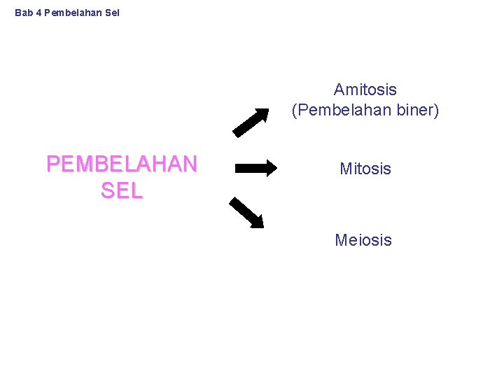 Bab 4 Pembelahan Sel Amitosis (Pembelahan biner) PEMBELAHAN SEL Mitosis Meiosis 