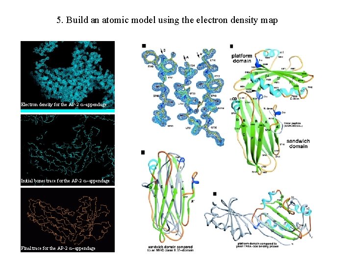 5. Build an atomic model using the electron density map Electron density for the