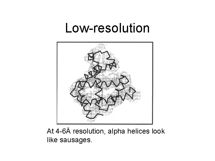 Low-resolution At 4 -6Å resolution, alpha helices look like sausages. 