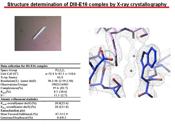 Structure determination of DIII-E 16 complex by X-ray crystallography 