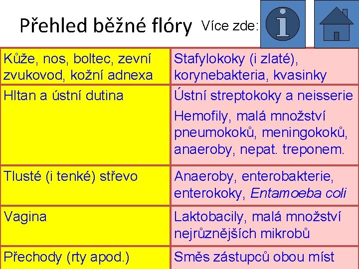 Přehled běžné flóry Více zde: Kůže, nos, boltec, zevní zvukovod, kožní adnexa Hltan a