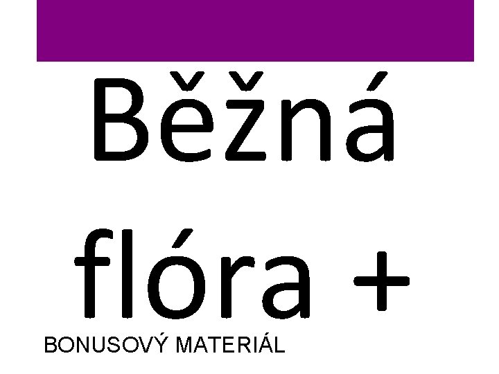 Běžná flóra + BONUSOVÝ MATERIÁL 