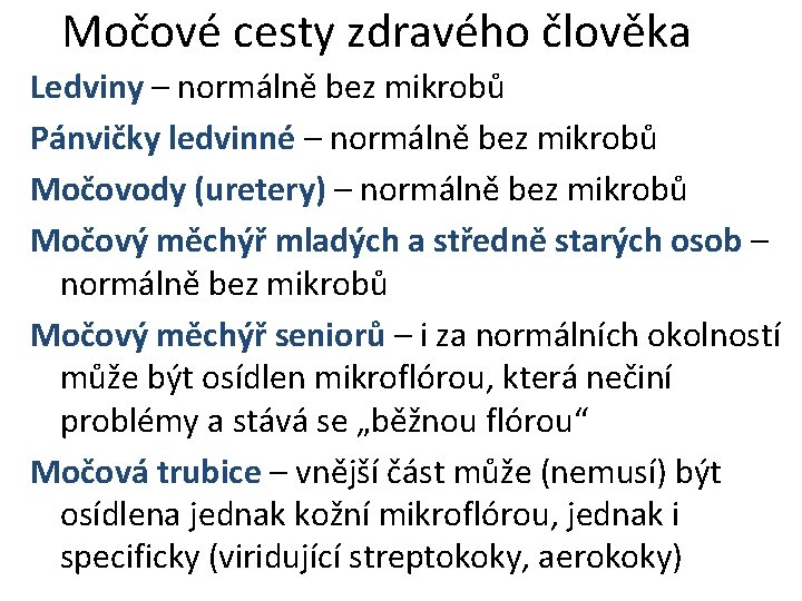 Močové cesty zdravého člověka Ledviny – normálně bez mikrobů Pánvičky ledvinné – normálně bez