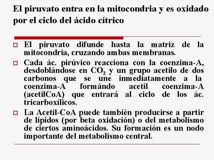 El piruvato entra en la mitocondria y es oxidado por el ciclo del ácido