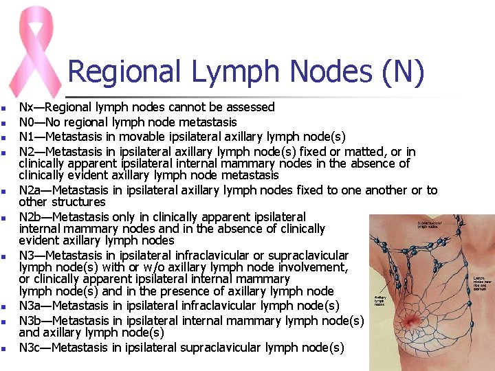 Regional Lymph Nodes (N) n n n n n Nx—Regional lymph nodes cannot be