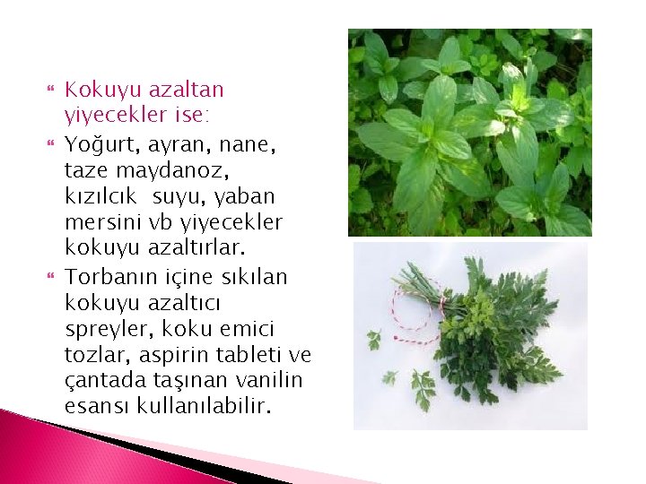  Kokuyu azaltan yiyecekler ise: Yoğurt, ayran, nane, taze maydanoz, kızılcık suyu, yaban mersini