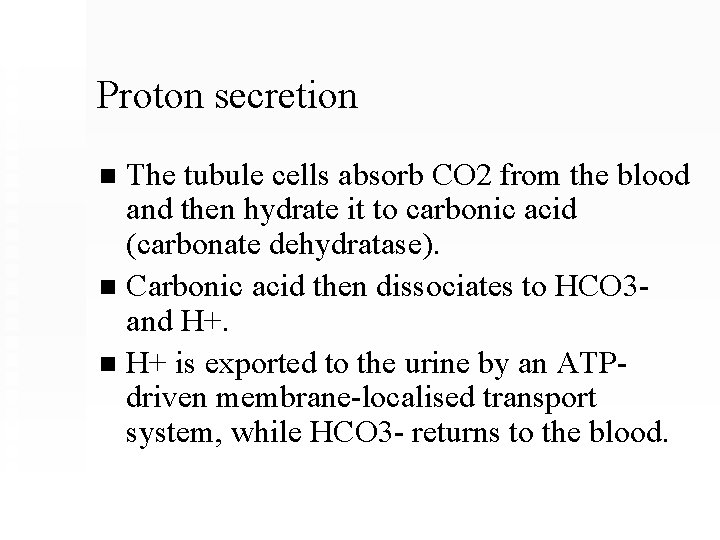 Proton secretion The tubule cells absorb CO 2 from the blood and then hydrate