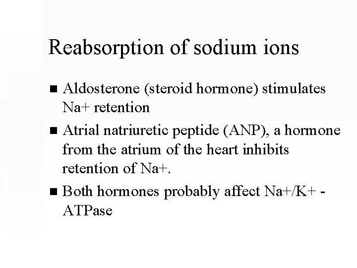 Reabsorption of sodium ions Aldosterone (steroid hormone) stimulates Na+ retention n Atrial natriuretic peptide