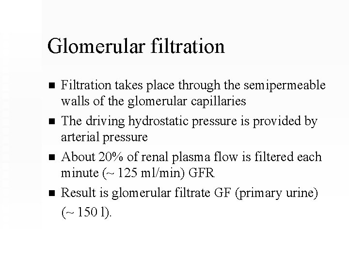 Glomerular filtration n n Filtration takes place through the semipermeable walls of the glomerular