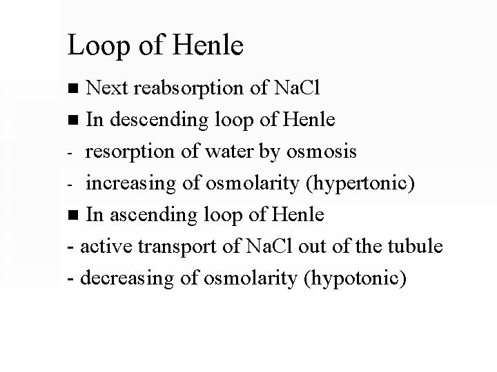 Loop of Henle Next reabsorption of Na. Cl n In descending loop of Henle