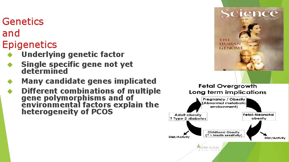 Genetics and Epigenetics Underlying genetic factor Single specific gene not yet determined Many candidate