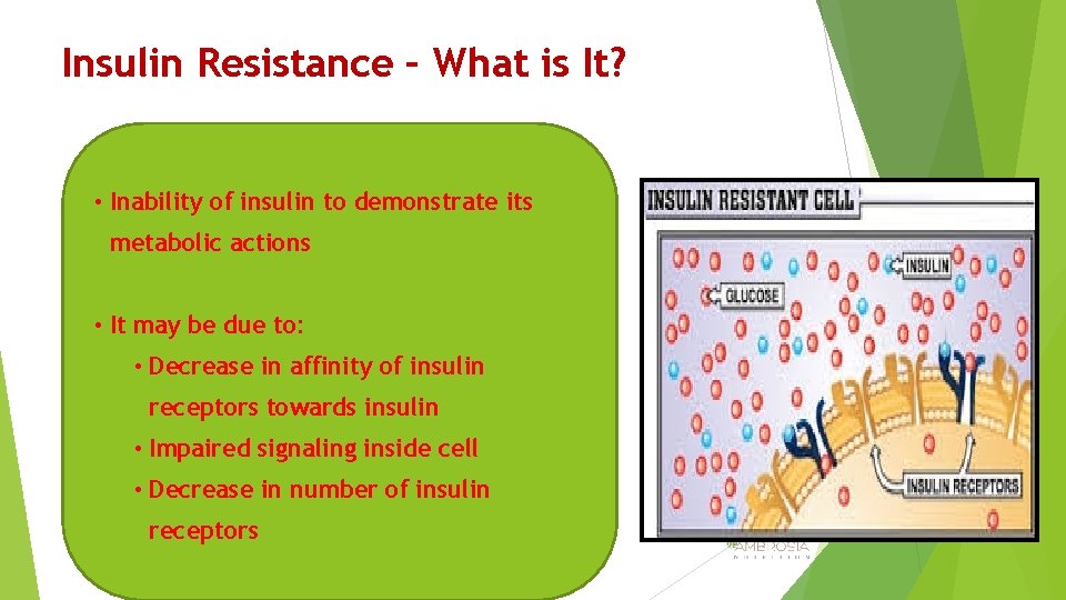 Insulin Resistance – What is It? • Inability of insulin to demonstrate its metabolic