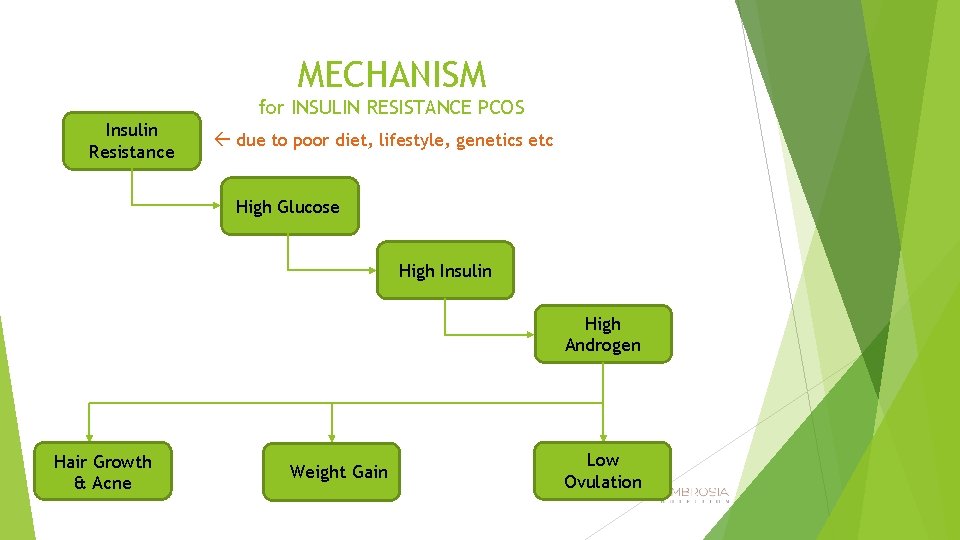 MECHANISM for INSULIN RESISTANCE PCOS Insulin Resistance due to poor diet, lifestyle, genetics etc