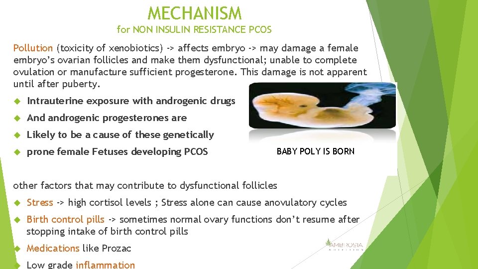 MECHANISM for NON INSULIN RESISTANCE PCOS Pollution (toxicity of xenobiotics) -> affects embryo ->