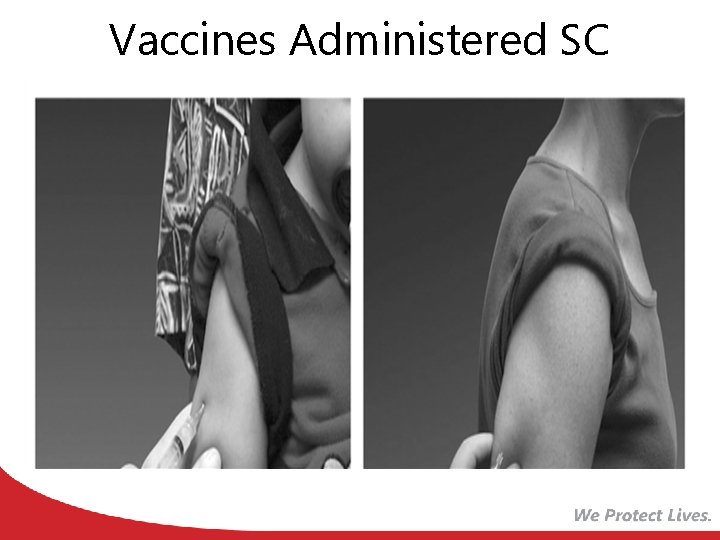 Vaccines Administered SC 