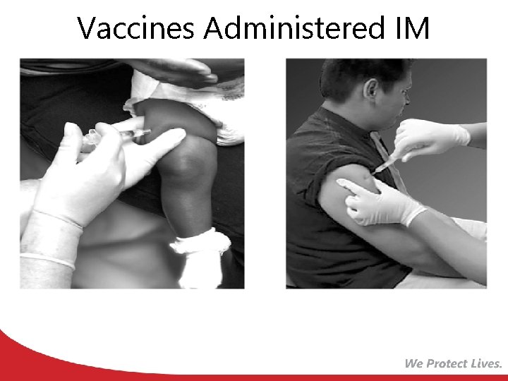 Vaccines Administered IM 