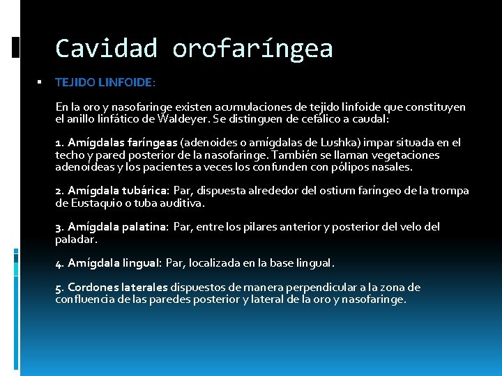 Cavidad orofaríngea TEJIDO LINFOIDE: En la oro y nasofaringe existen acumulaciones de tejido linfoide Cavidad orofaríngea TEJIDO LINFOIDE: En la oro y nasofaringe existen acumulaciones de tejido linfoide