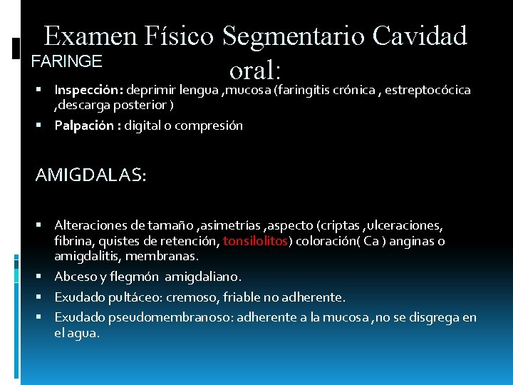 Examen Físico Segmentario Cavidad FARINGE oral: Inspección: deprimir lengua , mucosa (faringitis crónica , Examen Físico Segmentario Cavidad FARINGE oral: Inspección: deprimir lengua , mucosa (faringitis crónica ,