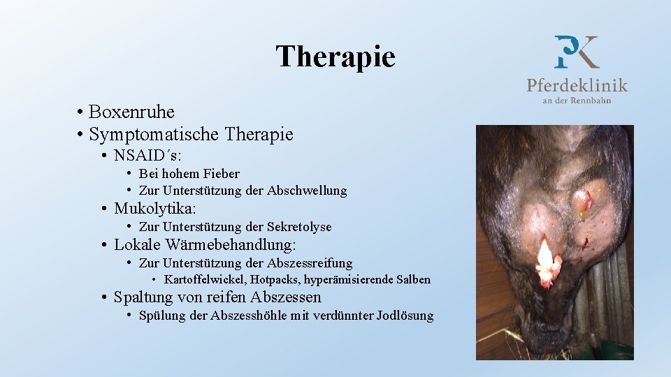 Therapie • Boxenruhe • Symptomatische Therapie • NSAID´s: • Bei hohem Fieber • Zur