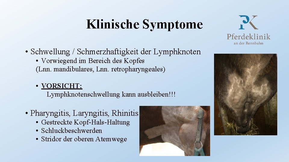 Klinische Symptome • Schwellung / Schmerzhaftigkeit der Lymphknoten • Vorwiegend im Bereich des Kopfes