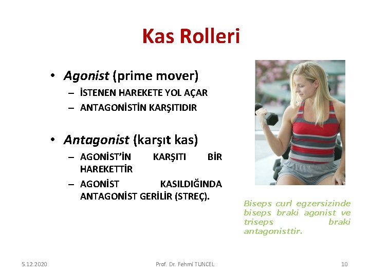 Kas Rolleri • Agonist (prime mover) – İSTENEN HAREKETE YOL AÇAR – ANTAGONİSTİN KARŞITIDIR