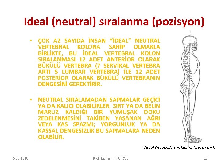Ideal (neutral) sıralanma (pozisyon) • ÇOK AZ SAYIDA İNSAN “İDEAL” NEUTRAL VERTEBRAL KOLONA SAHİP