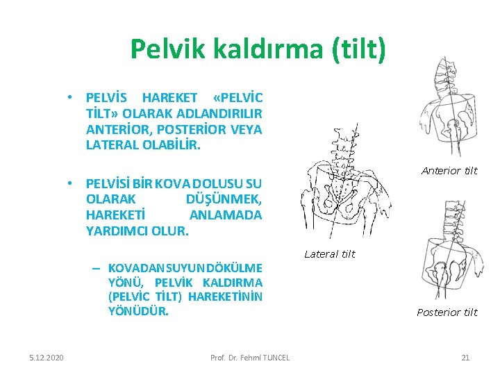 Pelvik kaldırma (tilt) • PELVİS HAREKET «PELVİC TİLT» OLARAK ADLANDIRILIR ANTERİOR, POSTERİOR VEYA LATERAL