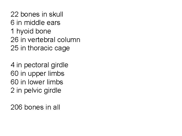22 bones in skull 6 in middle ears 1 hyoid bone 26 in vertebral