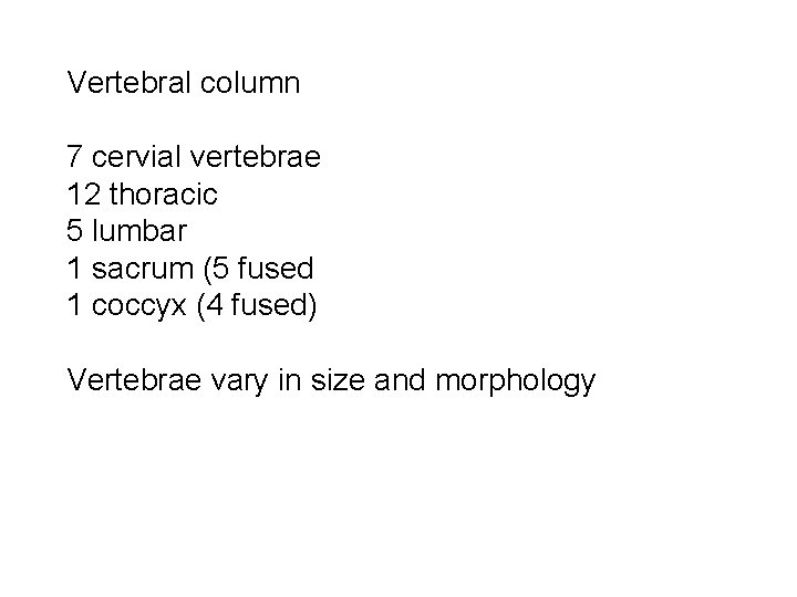 Vertebral column 7 cervial vertebrae 12 thoracic 5 lumbar 1 sacrum (5 fused 1