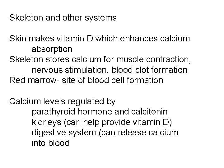 Skeleton and other systems Skin makes vitamin D which enhances calcium absorption Skeleton stores