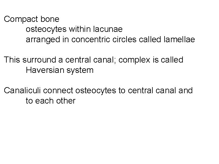 Compact bone osteocytes within lacunae arranged in concentric circles called lamellae This surround a