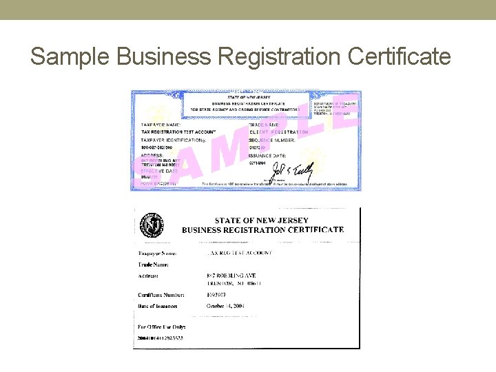 Sample Business Registration Certificate 