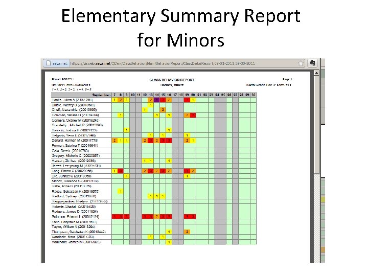 Elementary Summary Report for Minors 