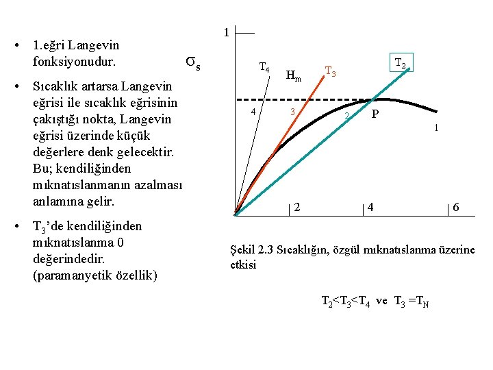  • 1. eğri Langevin fonksiyonudur. • Sıcaklık artarsa Langevin eğrisi ile sıcaklık eğrisinin