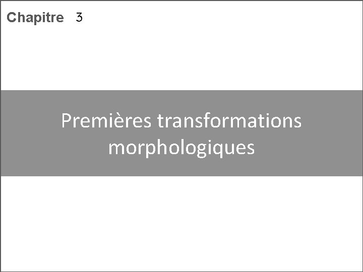 Chapitre 3 Premières transformations morphologiques 