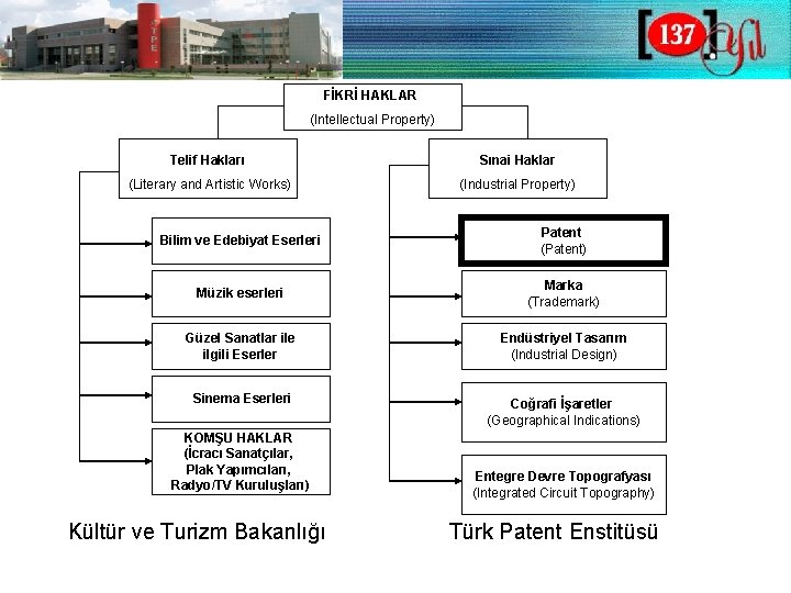 FİKRİ HAKLAR (Intellectual Property) Telif Hakları Sınai Haklar (Literary and Artistic Works) (Industrial Property)