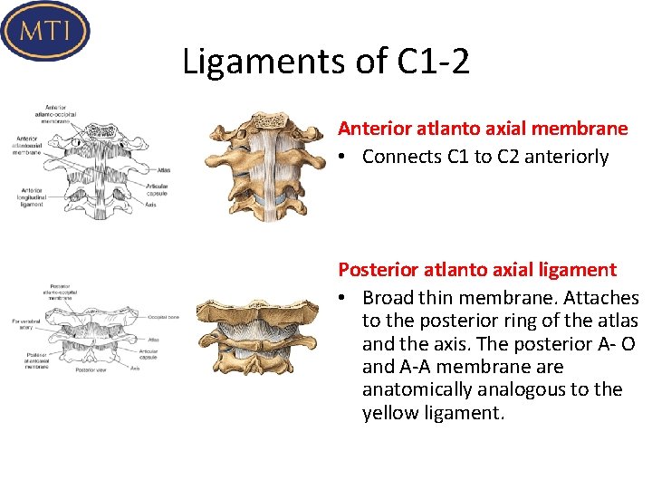 Advanced Cervical Spine Anatomy and Biomechanics Atlanto Occipital